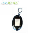 Promotion Solar led key chain with compass